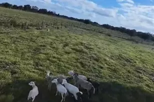 0 NW 240th, Okeechobee, FL 34972 - Photo 14