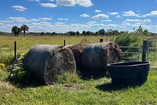 0 NW 240th, Okeechobee, FL 34972 - Photo 4