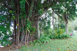 1925 NW 62nd Terrace, Margate, FL 33063 - Photo 52