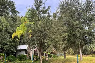 14625 NW 298th St, Okeechobee, FL 34972 - Photo 10