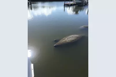 5312  Compass Cove Pl, Hutchinson Island, FL 34949 - Photo 8