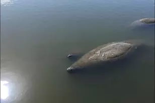 5312 Compass Cove Pl, Hutchinson Island, FL 34949 - Photo 8