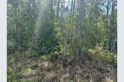 0  Holopaw Groves Rd, Saint Cloud, FL 34772 - Photo 2