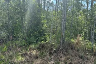 0 Holopaw Groves Rd, Saint Cloud, FL 34772 - Photo 2