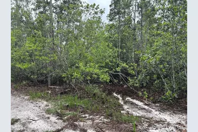 0  Holopaw Groves Rd, Saint Cloud, FL 34772 - Photo 1