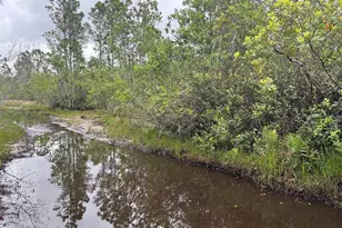 0 Holopaw Groves Rd, Saint Cloud, FL 34772 - Photo 2