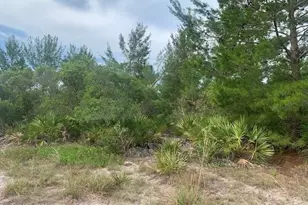 0 Holopaw Groves Rd, Saint Cloud, FL 34772 - Photo 2