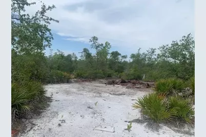 0  Holopaw Groves Rd, Saint Cloud, FL 34772 - Photo 4