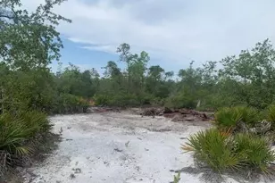 0 Holopaw Groves Rd, Saint Cloud, FL 34772 - Photo 4