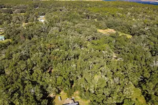 26250 Blackjack St, Brooksville, FL 34601 - Photo 56