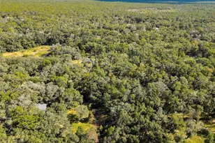 26250 Blackjack St, Brooksville, FL 34601 - Photo 58