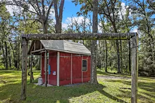 26250 Blackjack St, Brooksville, FL 34601 - Photo 14