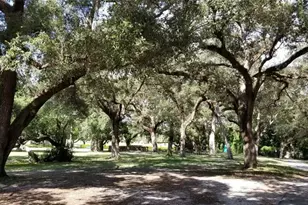 9531 Seagrape Dr, Davie, FL 33324 - Photo 58