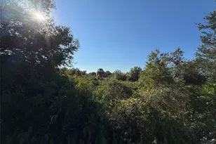 14928 NW 260th St, Basinger, FL 34972 - Photo 4