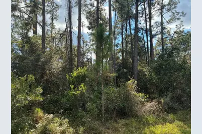 Lot 15, Block 75  Park Ave, Indian Lake Estates, FL 33855 - Photo 2