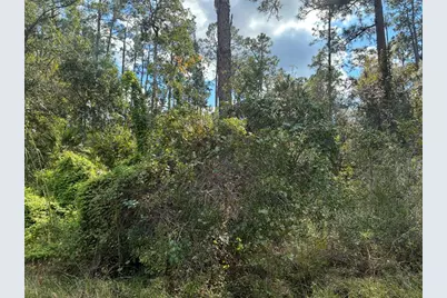 Lot 15, Block 75  Park Ave, Indian Lake Estates, FL 33855 - Photo 4