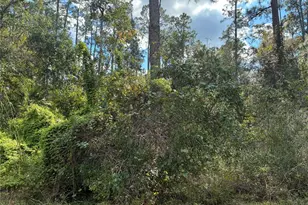 Lot 15 Block 75 Park Ave, Indian Lake Estates, FL 33855 - Photo 4