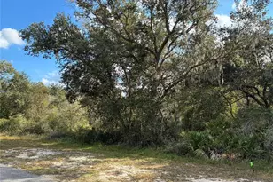 Lot 23 Blk 154 Plumosa Dr, Indian Lake Estates, FL 33855 - Photo 2