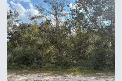 Lot 23 Blk 154  Plumosa Drive, Indian Lake Estates, FL 33855 - Photo 4