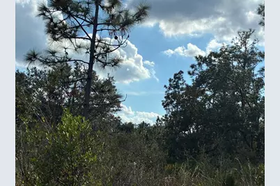 207  Plumosa Drive, Indian Lake Estates, FL 33855 - Photo 2