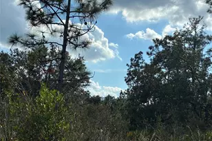 207 Plumosa Dr, Indian Lake Estates, FL 33855 - Photo 2