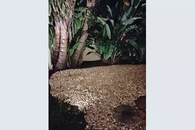 2611 NE 53rd St, Lighthouse Point, FL 33064 - Photo 56