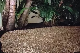 2611 NE 53rd St, Lighthouse Point, FL 33064 - Photo 56