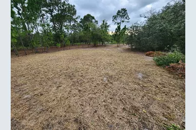 2925 W Bandra Rd, Avon Park, FL 33825 - Photo 2