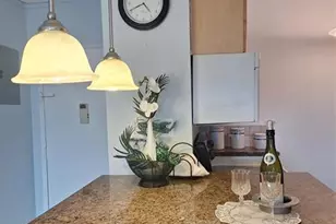 200 S Birch Unit, Fort Lauderdale, FL 33316 - Photo 6