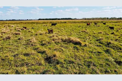 Hwy 441N  Hwy 441, Okeechobee, FL 34972 - Photo 34