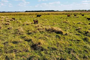 Hwy 441N Hwy 441, Okeechobee, FL 34972 - Photo 34