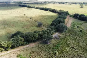 Hwy 441N Hwy 441, Okeechobee, FL 34972 - Photo 16