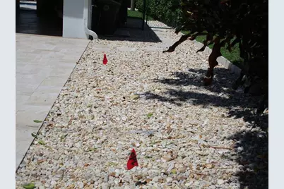 3021 NE 23rd Ave, Lighthouse Point, FL 33064 - Photo 46