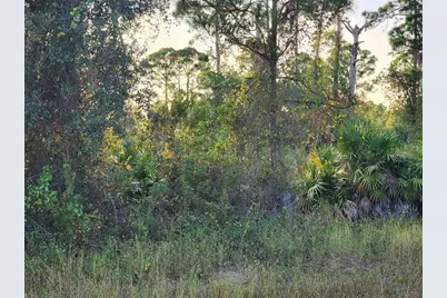 842  Genoa Ave, Lehigh Acres, FL 33974 - Photo 1