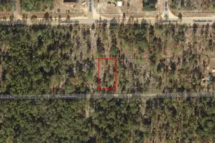 0 Somerset Ave, Interlachen, FL 32148 - Photo 2