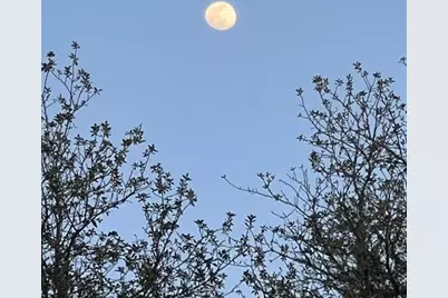 3050 E Possum Ct, Inverness, FL 34452 - Photo 74