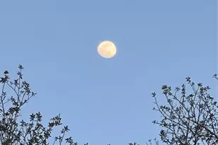 3050 E Possum Ct, Inverness, FL 34452 - Photo 74