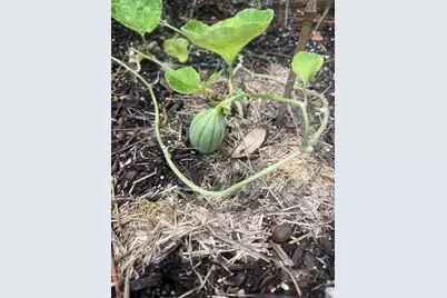 3050 E Possum Ct, Inverness, FL 34452 - Photo 48