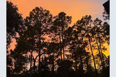 3050 E Possum Ct, Inverness, FL 34452 - Photo 68