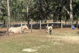 3050 E Possum Ct, Inverness, FL 34452 - Photo 58