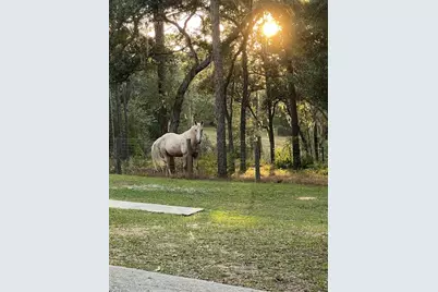 3050 E Possum Ct, Inverness, FL 34452 - Photo 60