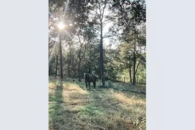 3050 E Possum Ct, Inverness, FL 34452 - Photo 62