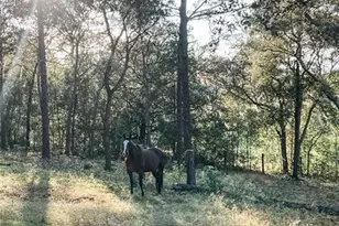 3050 E Possum Ct, Inverness, FL 34452 - Photo 62