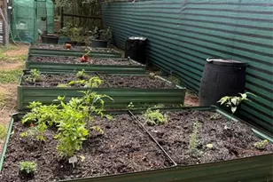 3050 E Possum Ct, Inverness, FL 34452 - Photo 70