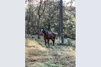 3050 E Possum Ct, Inverness, FL 34452 - Photo 64