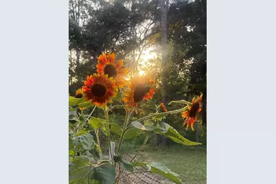 3050 E Possum Ct, Inverness, FL 34452 - Photo 66