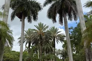 4808 N State Rd 7, Pompano Beach, FL 33073 - Photo 24