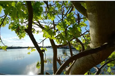 6380 W 24th Ct, Hialeah, FL 33016 - Photo 20