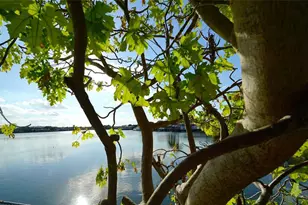 6380 W 24th Ct, Hialeah, FL 33016 - Photo 20