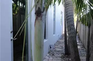 [Address not provided], Wilton Manors, FL 33305 - Photo 2